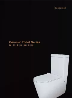 Ceramic toilet 