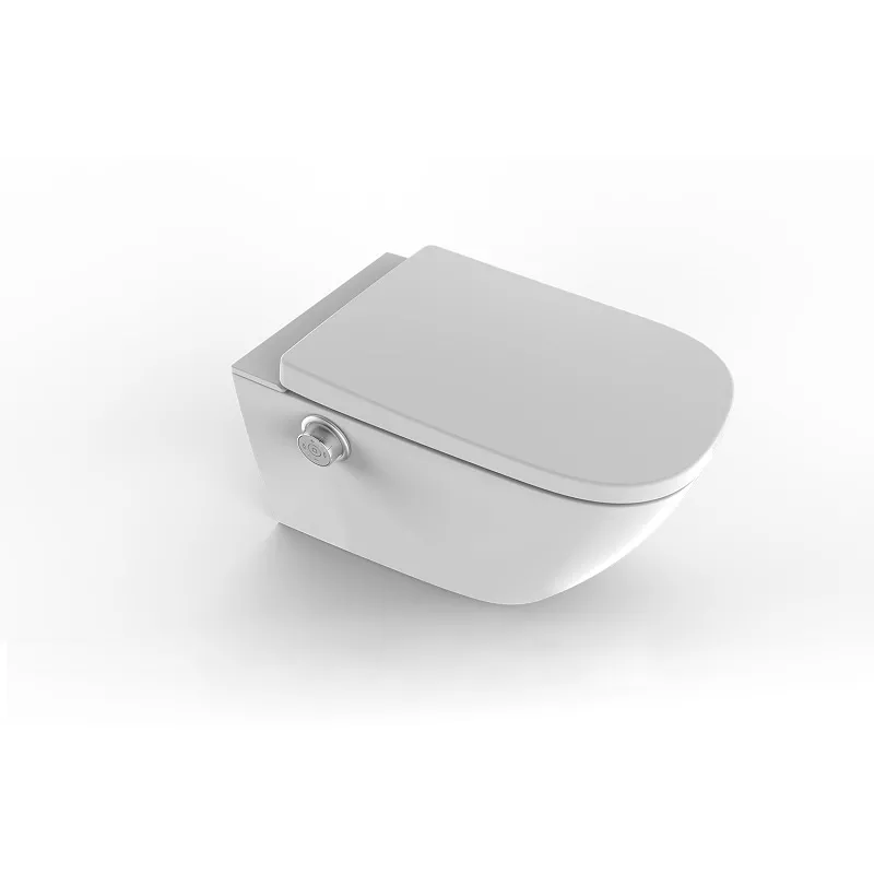 bidet seat with cabinet cistern bidet seat with cabinet cistern