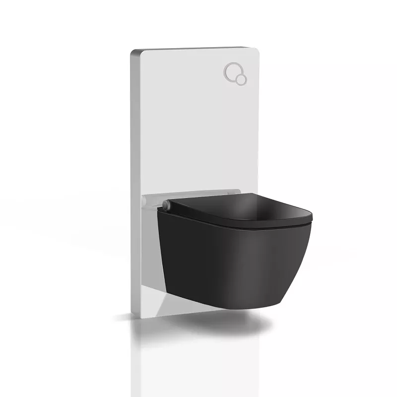bidet seat with cabinet cistern bidet seat with cabinet cistern