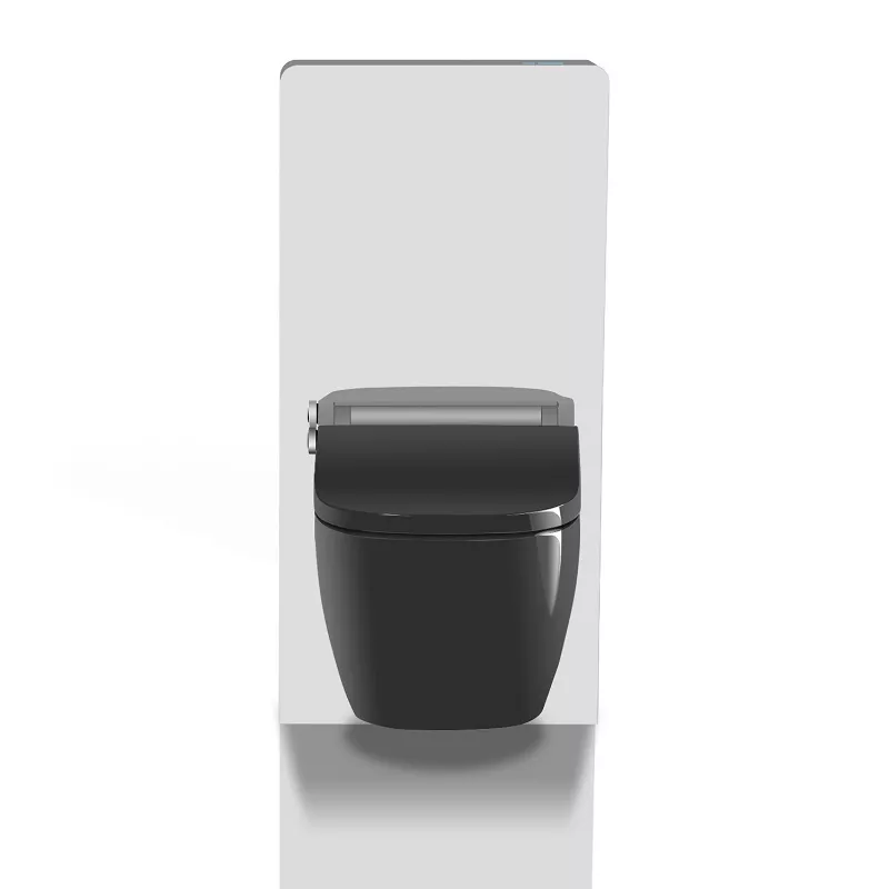 black electric bidet seat black electric bidet seat