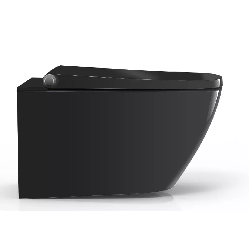 Electronic Bidet Toilet Seat Electronic Bidet Toilet Seat