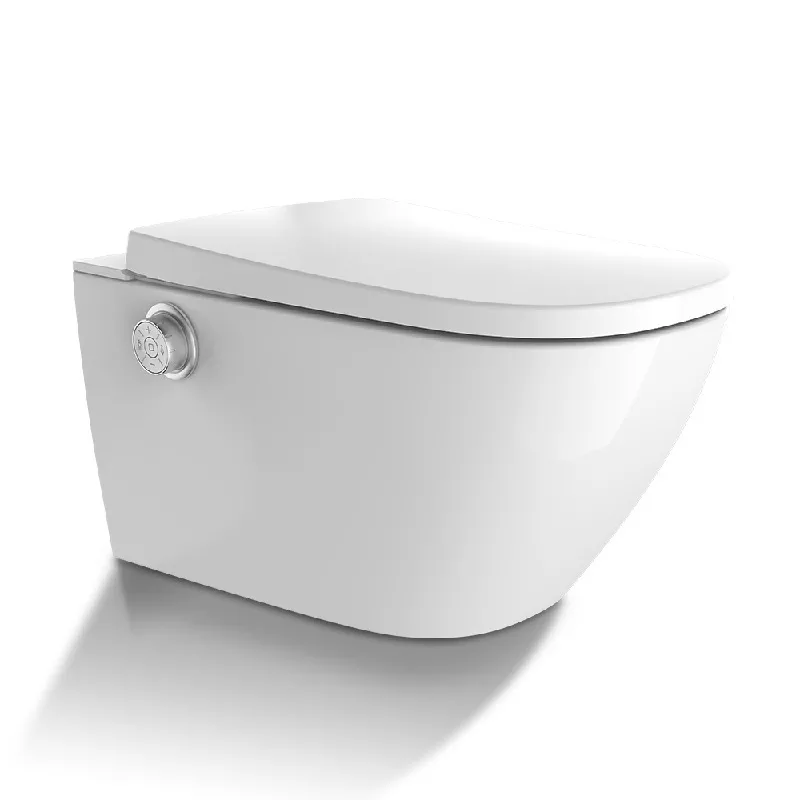 Christmas gift bidet toilet seat for mother Christmas gift bidet toilet seat for mother