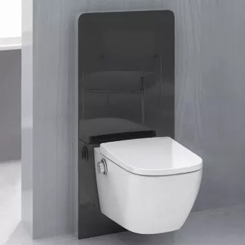 Intelligent Bidet Seat Intelligent Bidet Seat