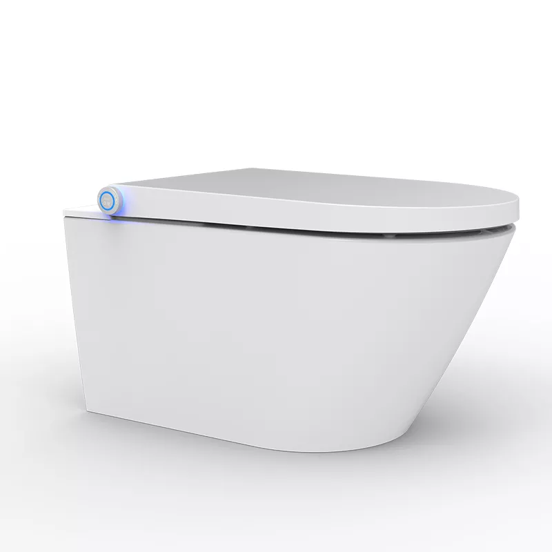 Abattant Japonais Pour Wc Abattant Japonais Pour Wc
