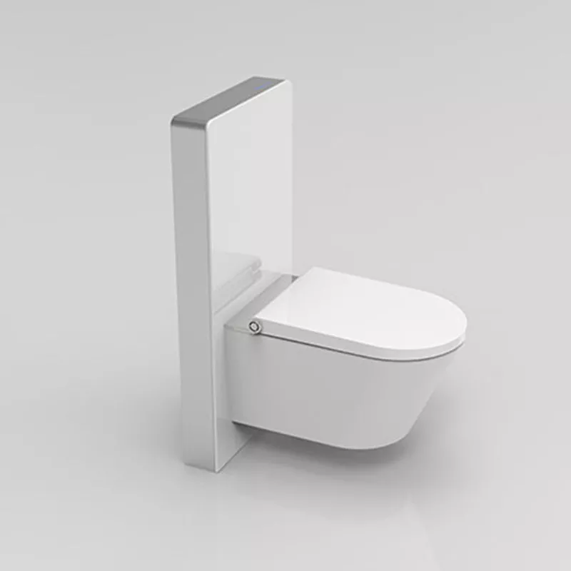 sensor flushing cistern bidet seat sensor flushing cistern bidet seat