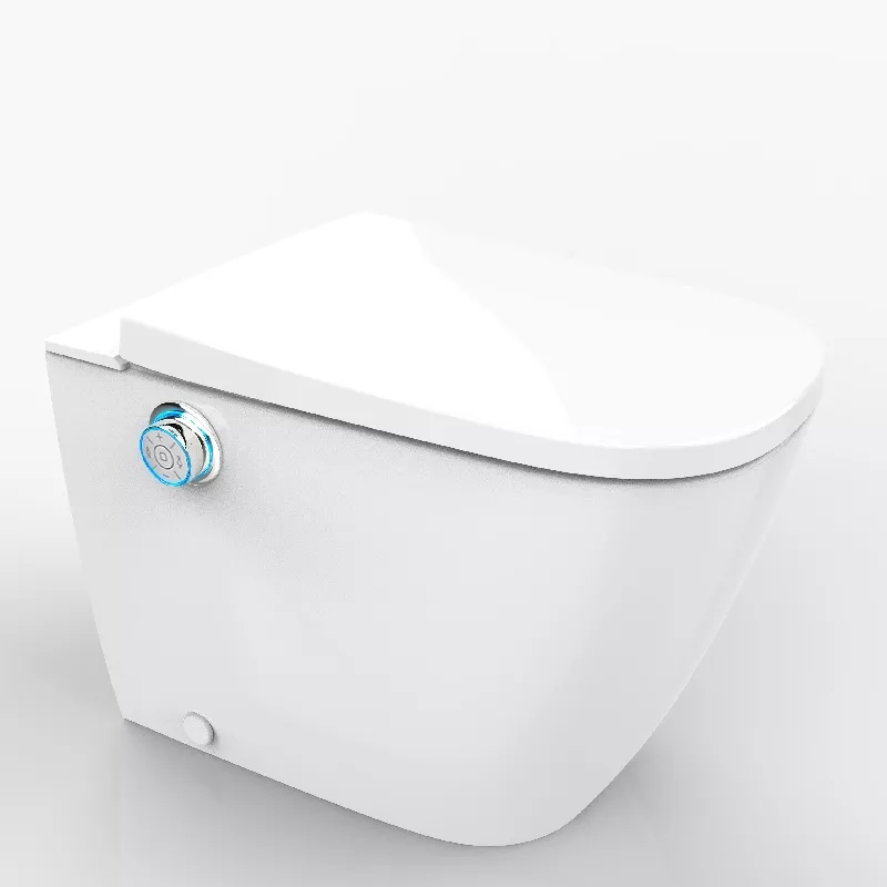 Dusch-WC-Aufsatz豪华坐浴盆 Dusch-WC-Aufsatz豪华坐浴盆