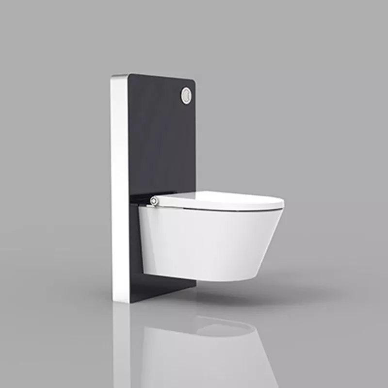 Electric Bidet Seat with black color Cabinet cistern Electric Bidet Seat with black color Cabinet cistern