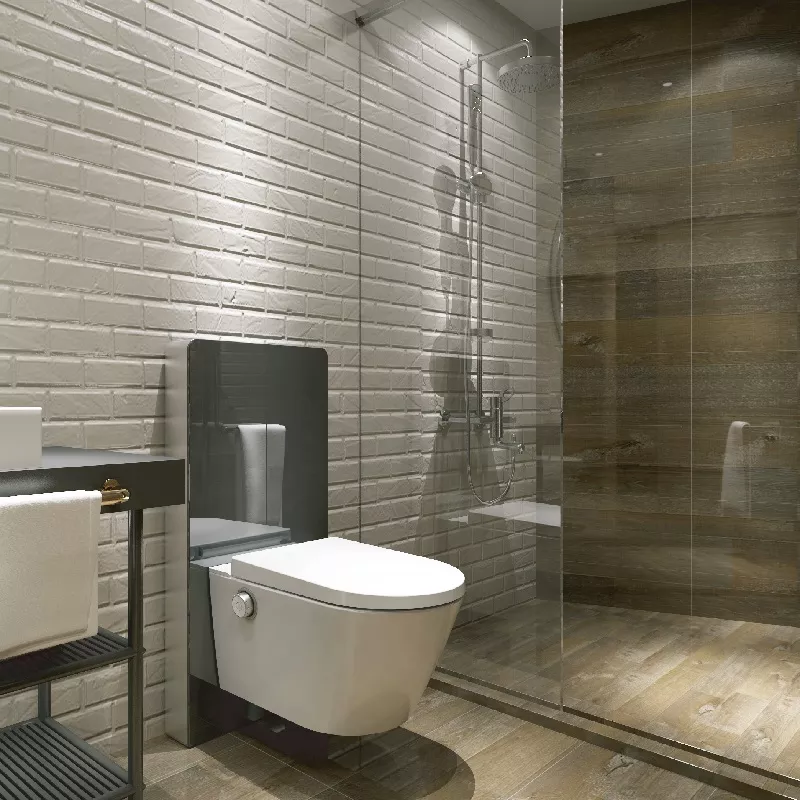 smart shower bidet seat smart shower bidet seat