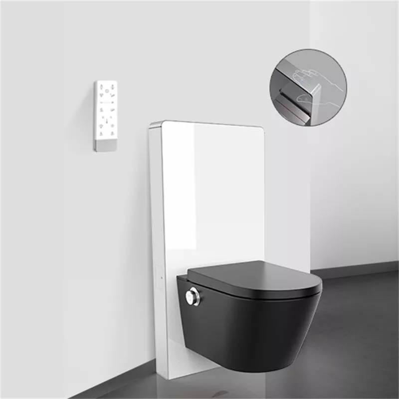 Intelligent Black Ceramic Bidet Intelligent Black Ceramic Bidet