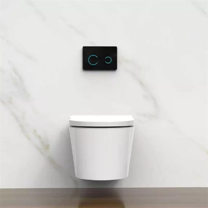 Shower Toilet Shower Toilet