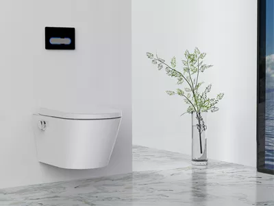 Round Intelligent Toilet Round Intelligent Toilet