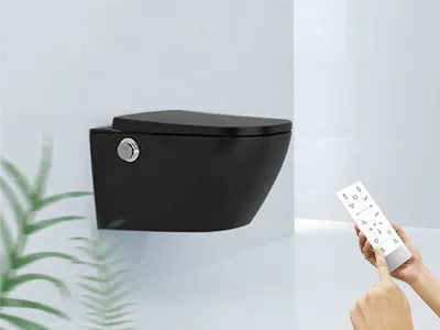 luxury Intelligent Toilet luxury Intelligent Toilet