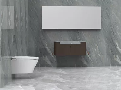 automatic Smart Toilet