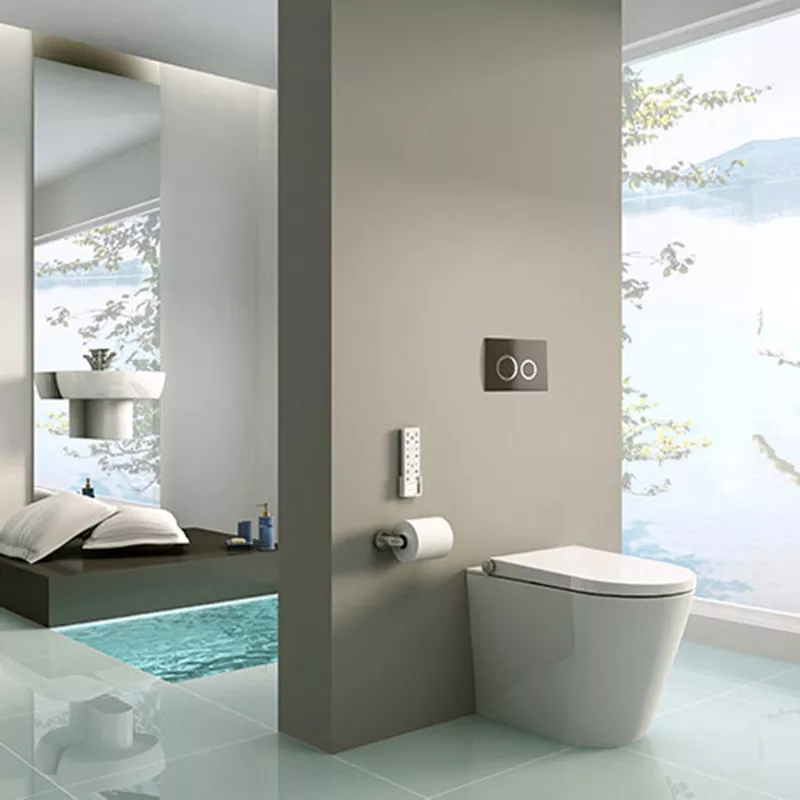 concealed cistern bidet Toilet seat concealed cistern bidet Toilet seat