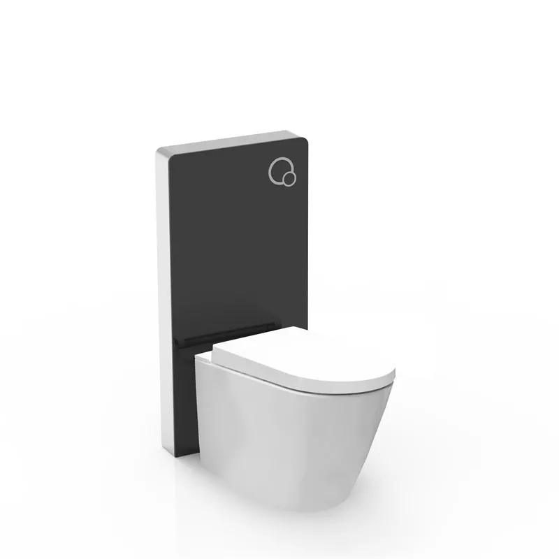 Floor-standing Smart Toilet Floor-standing Smart Toilet