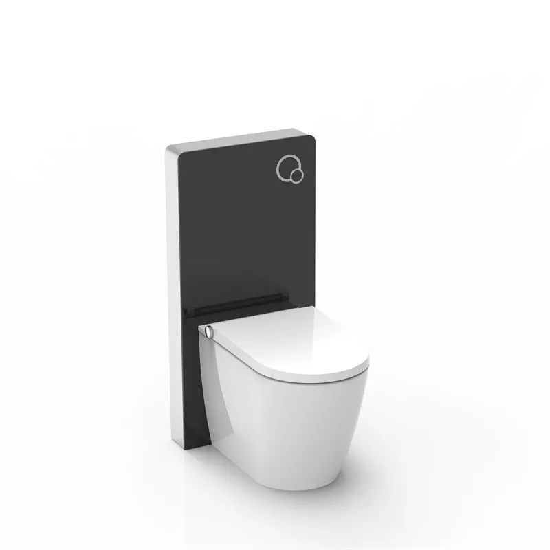 Electronic Bidet Seat Electronic Bidet Seat