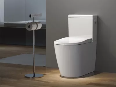 automatic Smart Toilet