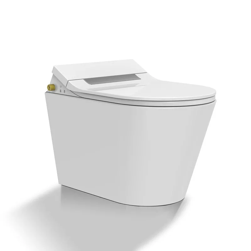 Intelligent Bidet Intelligent Bidet