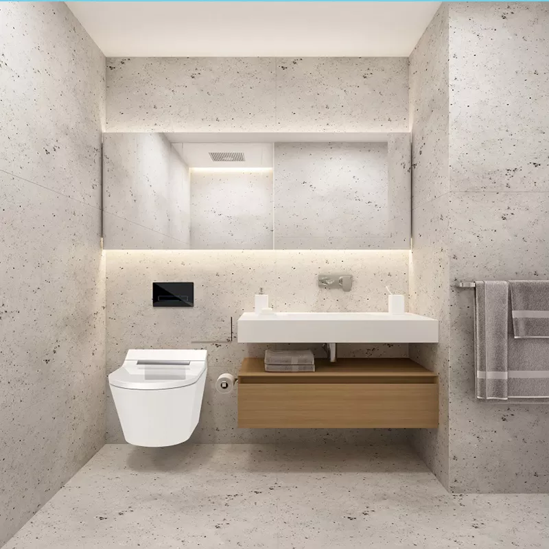 douche WC bidet seat with in wall cistern douche WC bidet seat with in wall cistern