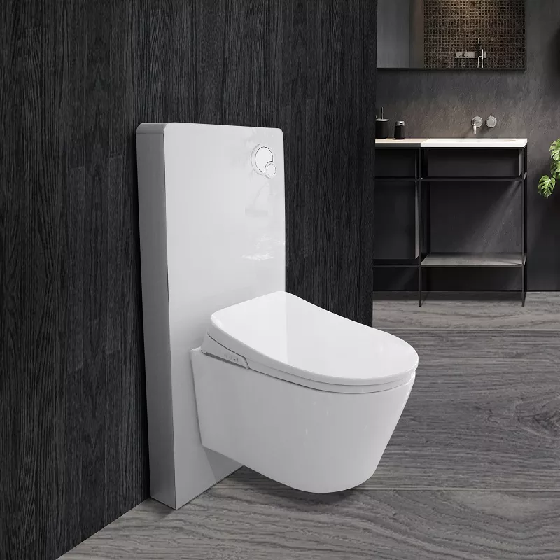 warm water spray bidet seat warm water spray bidet seat