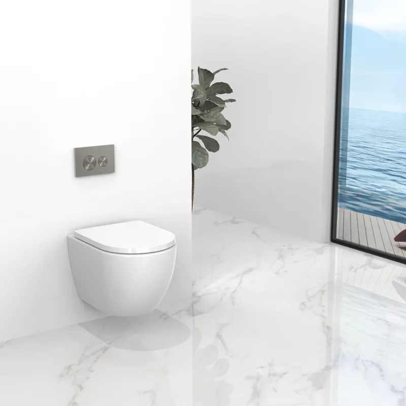 ceramic Toilet ceramic Toilet