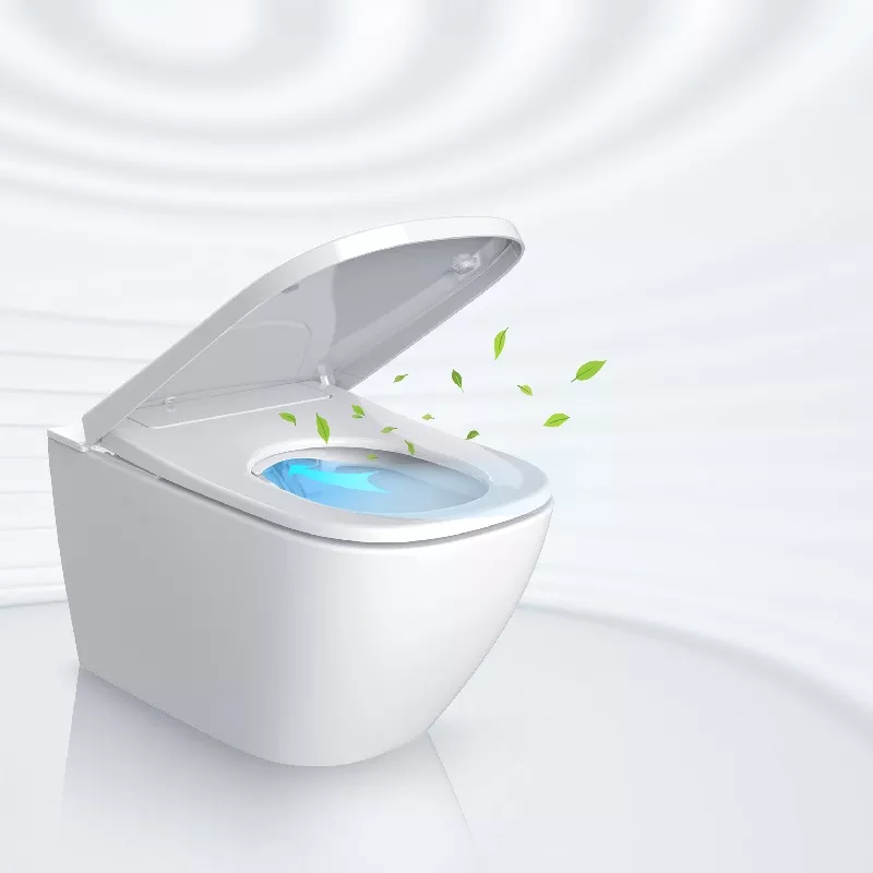 toilet seat bidet shower toilet seat bidet shower