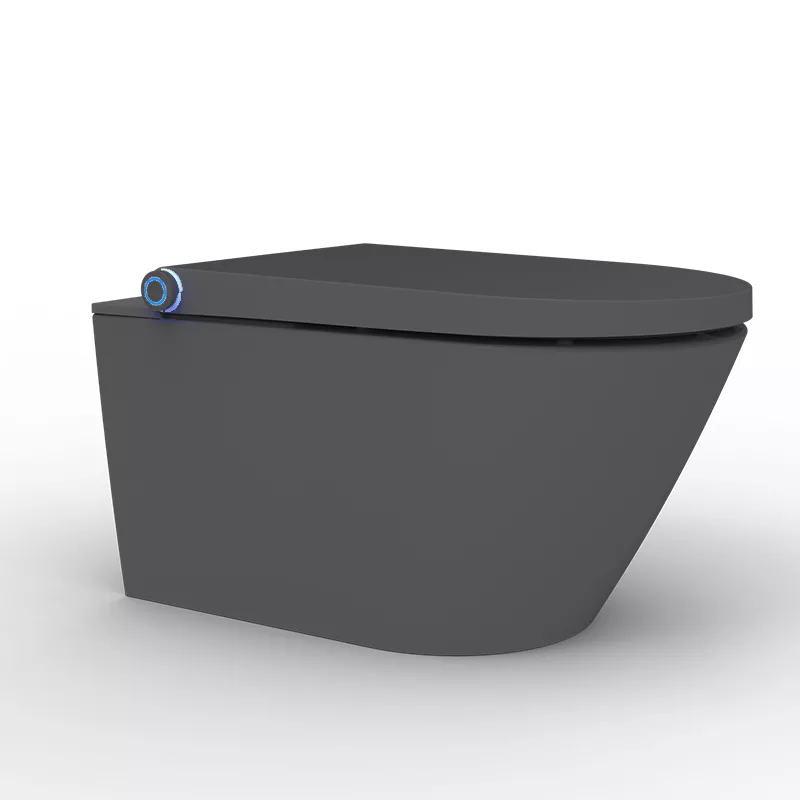 intelligent bidet seat intelligent bidet seat