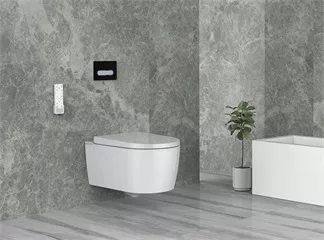 smart bidet shower seat smart bidet shower seat