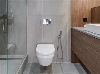 Smart Toilet