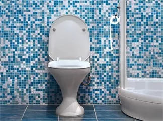 Electronic Bidet with Sensor Flushing Cistern