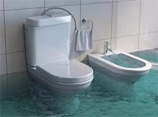 Electronic Bidet Seat Electronic Bidet Seat