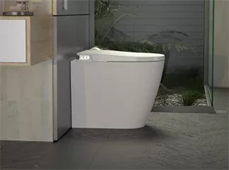 smart toilet smart toilet