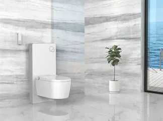 smart toilet smart toilet