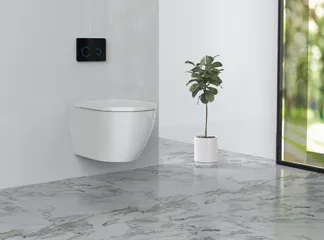 white wall hung toilet white wall hung toilet