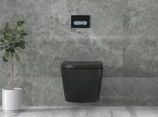 wall-hung toilets wall-hung toilets