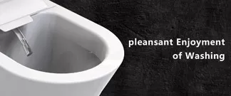 smart bidet smart bidet