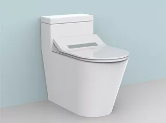 intelligent toilet seat intelligent toilet seat