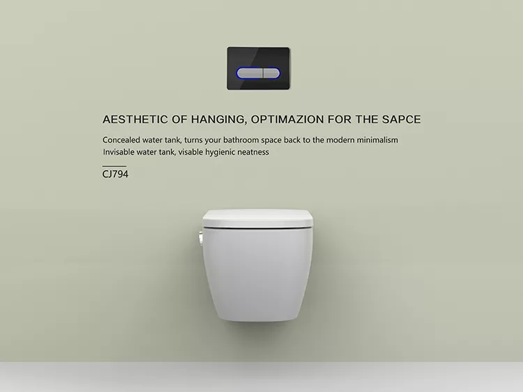 concealed cistern concealed cistern
