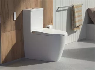 Toilet Seats Toilet Seats