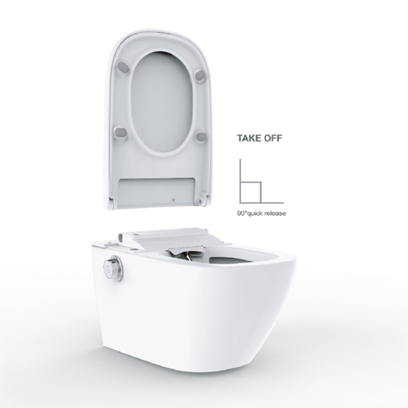 Dusch wc Toilet 