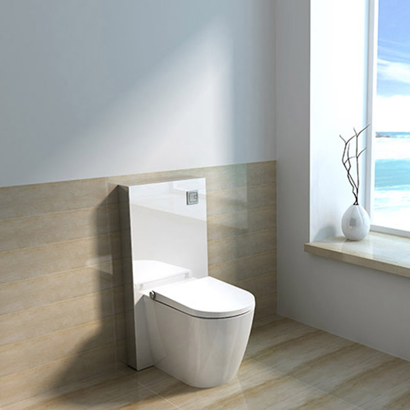 Cabinet cistern bidet Toilet seat 