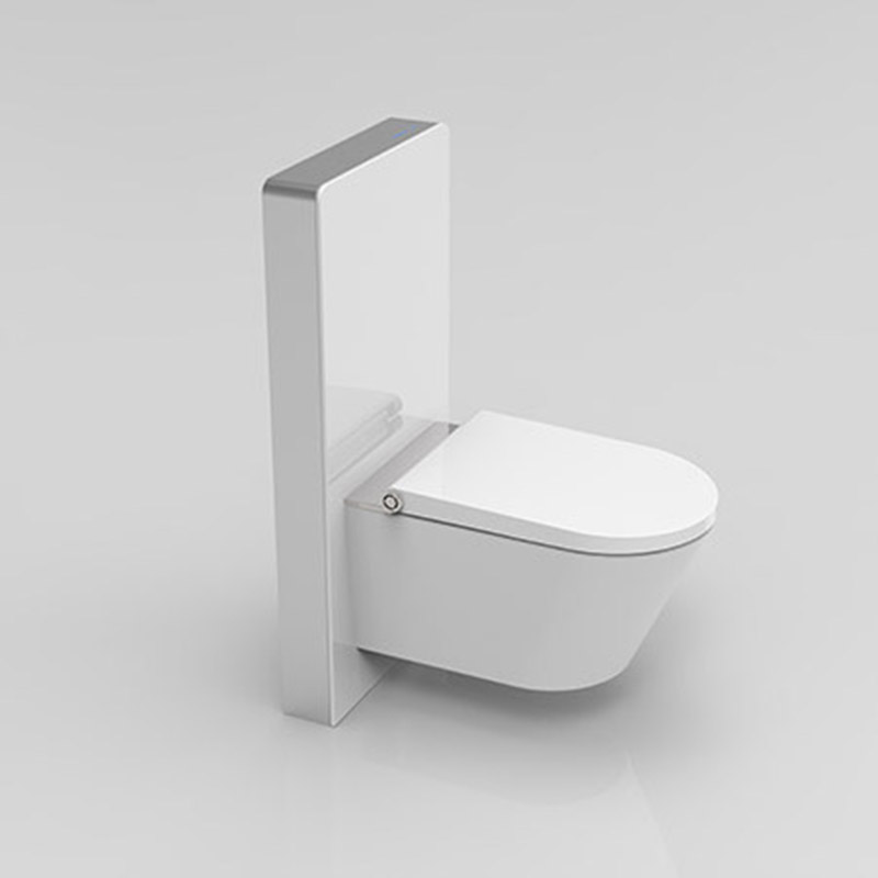 sensor flushing cistern bidet seat 