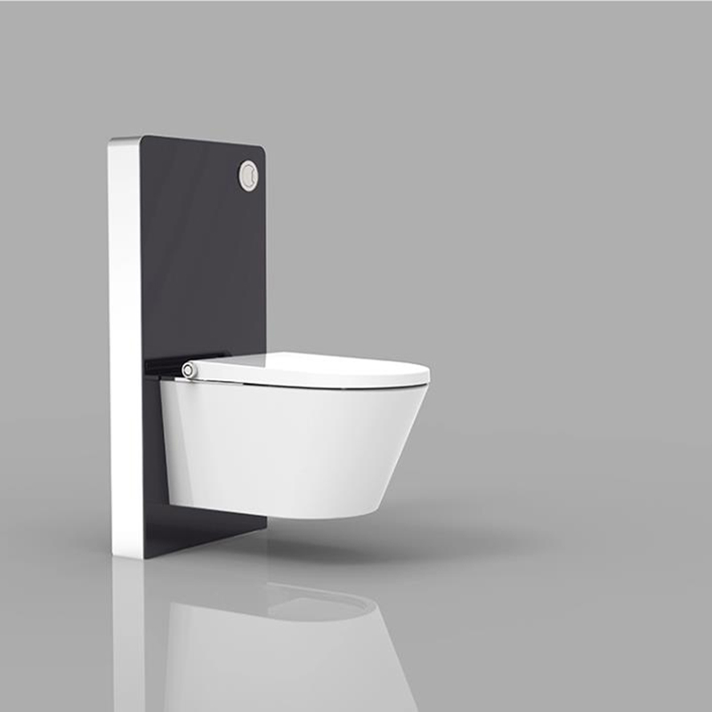  wall hung Toilet cistern