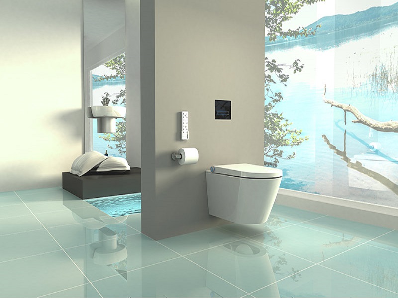 shower toilet bidet seat WC