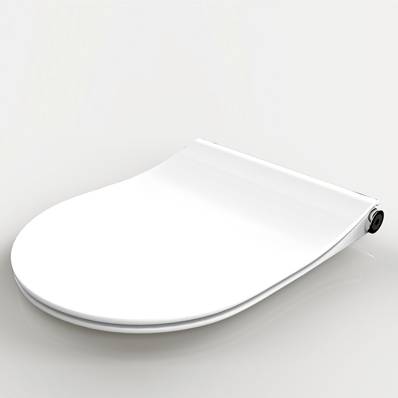 toilet seat smart seat