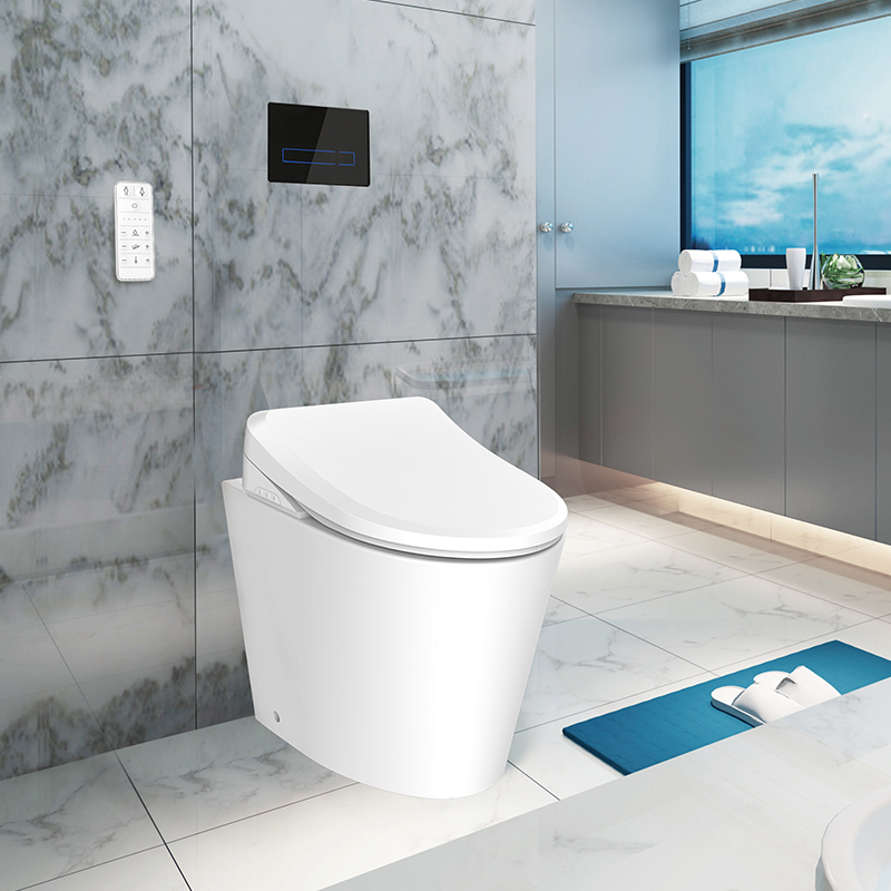 Electronic Bidet Toilet Seats