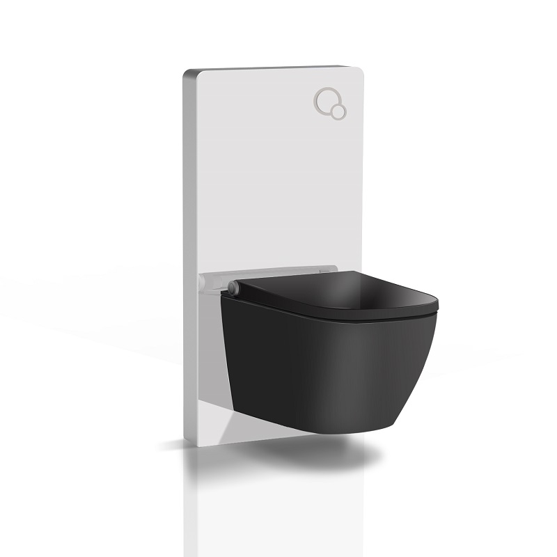 bidet seat with cabinet cistern