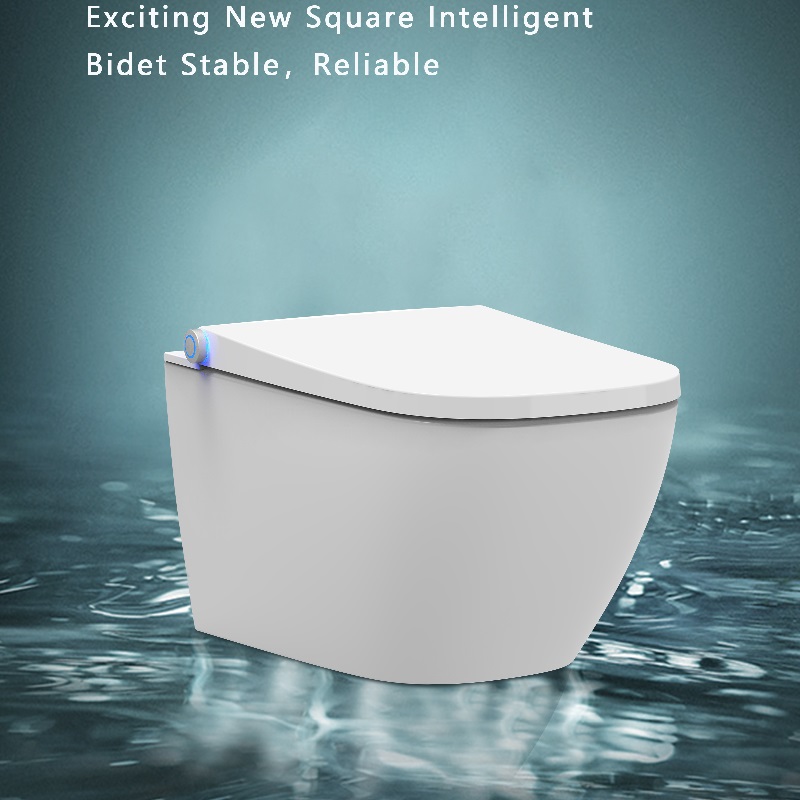 European bidet seat electronic bidet seat