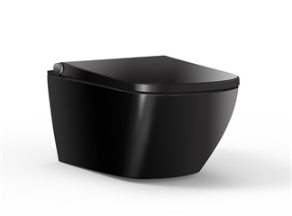 Black Color Smart Toilet