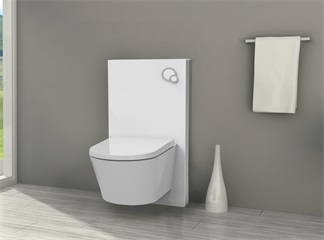 Sanitary module for wall hung or floorstanding WC